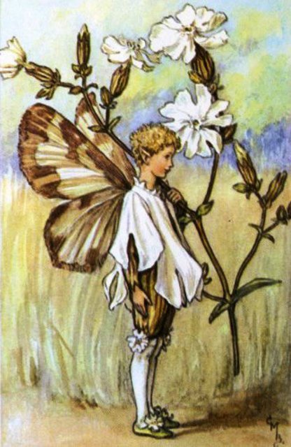 Долгая жизнь цветочных фей от иллюстраций Cicely Mary Barker до кукол Birgitte Frigast