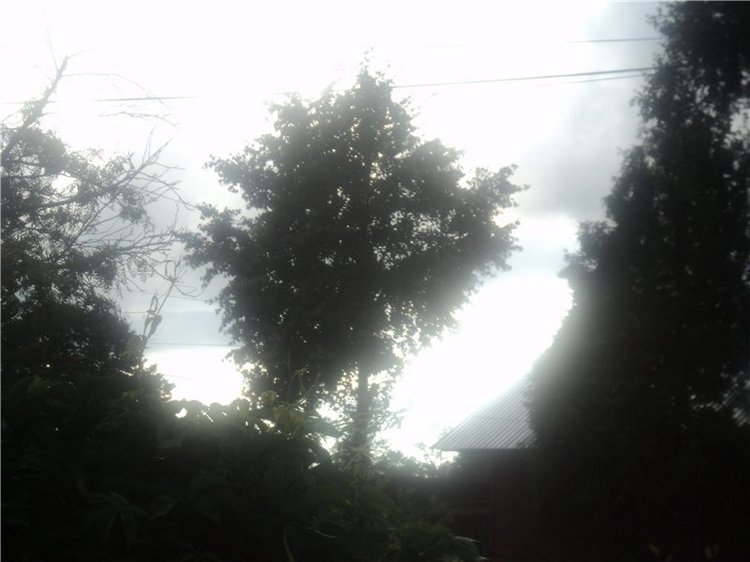 Ждем лета и верим в чудо! Куклы Готц и наряды (фото 10)