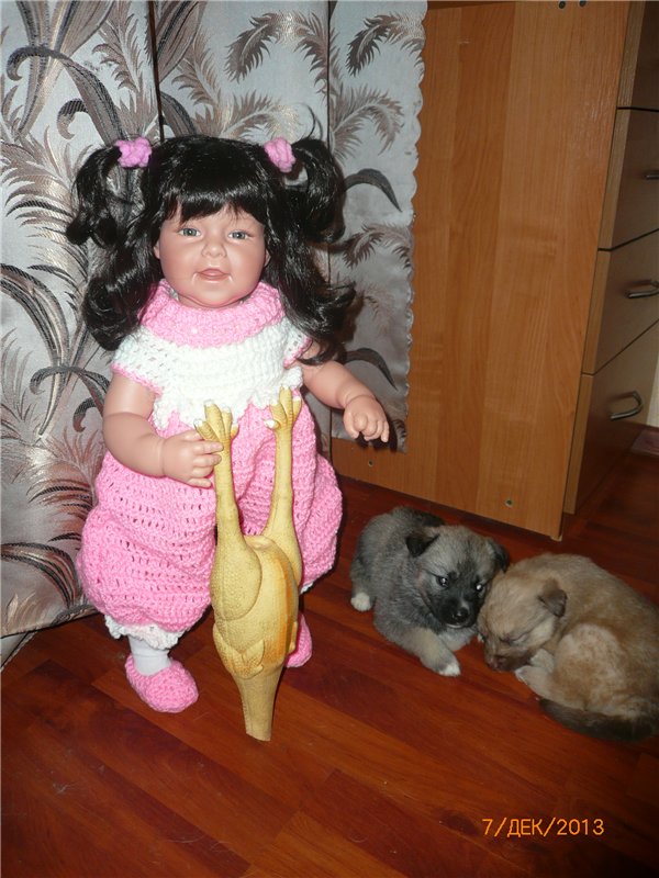 Куклы и собаки. Радость в нашем доме (фото 6)