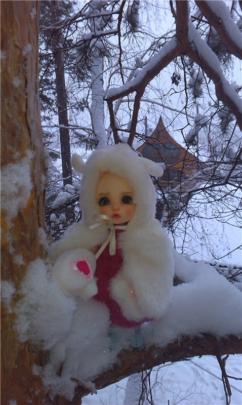 В гостях у сказки... Путешествие на Алтай (фото 6)