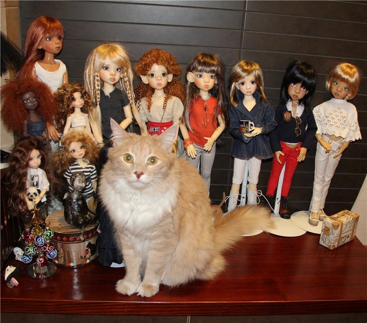 Мэдди приехала — Куклы Liz Frost (Лиз Фрост): авторские BJD (БЖД)