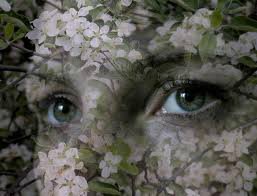 Весна.... как много в этом слове