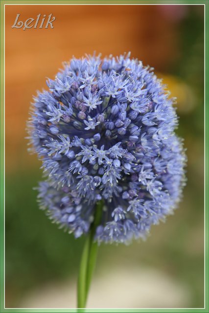 Цветочный рай, или новый наряд Ульяны (Pipa 2003 года, Gotz) | Бэйбики Цветочный рай, или новый наряд Ульяны (Pipa 2003 года, Gotz) (фото 2)