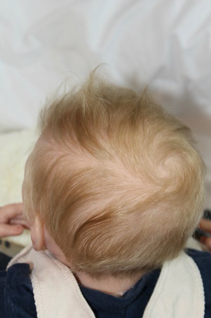 Мамино солнышко Ванечка. Куклы-реборн Натальи Ветровой