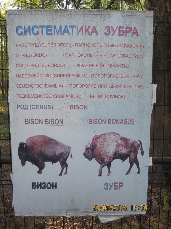 Давайте знакомиться! Мусенька - Realpuki Kaka Basic;)