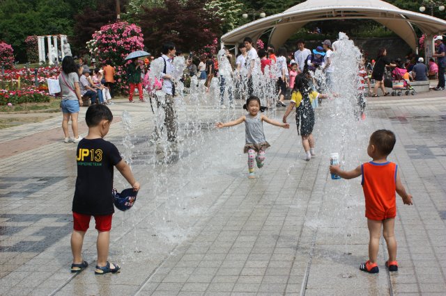 Выставка роз в Сеуле — Туризм и путешествия: фотоотчеты из поездок (фото 7)