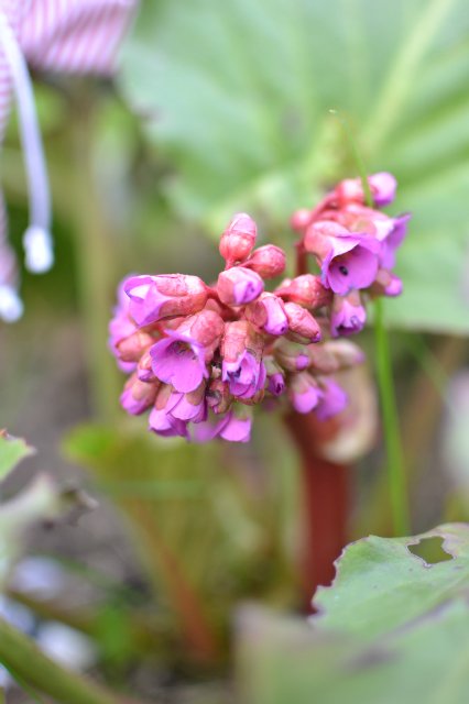 Жизнь в движении. Кукла Paola Reina ООАК (фото 2)