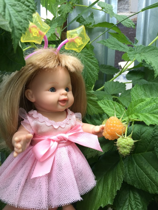 Моя маленькая мечта - Адора - Маккензи от Adora (фото 8)