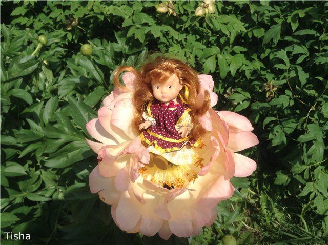 Малышки Sarah Key — Другие мини