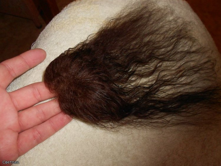 Возрождение Троллей Reisler Denmark. Дания 1966 год. Не финал