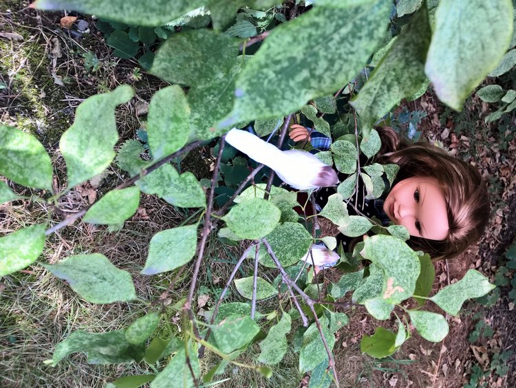 Ты и я такие разные, или, Если друг оказался вдруг (фото 8)