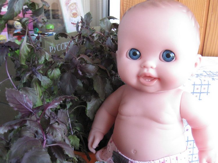 Глазастик и другие куколки