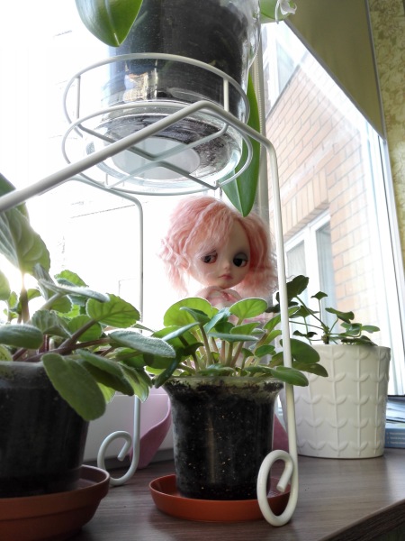 Моя маленькая коллекция ООАК Блайз: Лоллис (фото 5)