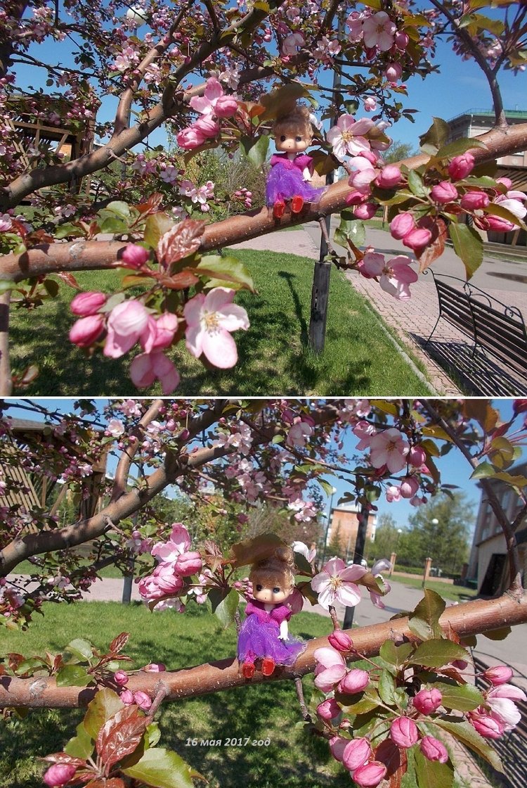 Майские денёчки — Болталка и разговоры обо всем: жизнь