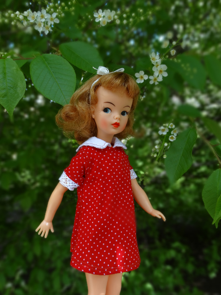 Тамми приехала — Куклы Sindy (Синди) и Tammy (Тамми): винтаж (фото 8)