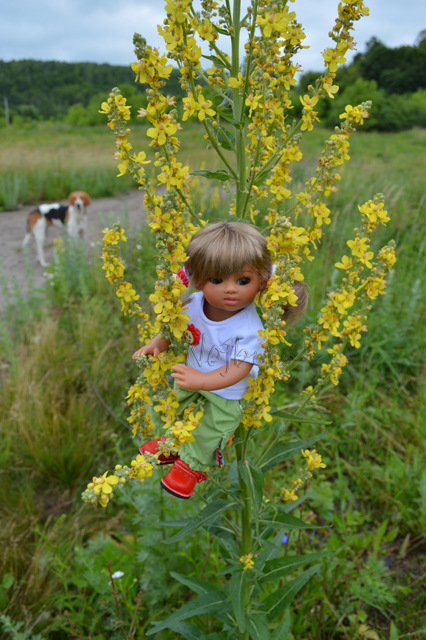 Самый маленький турист. Линда и Среда (фото 2)