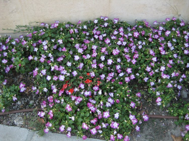 Вот такая вот Болгария — Туризм и путешествия: фотоотчеты из поездок