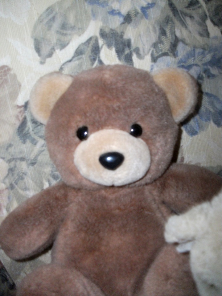 Мои спасенные зверики — Болталка и разговоры обо всем: жизнь (фото 2)