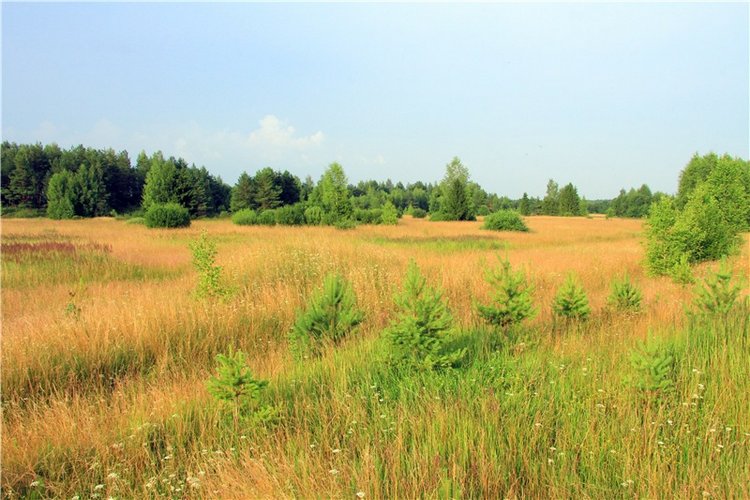 Тверской Водопад — Туризм и путешествия: фотоотчеты из поездок