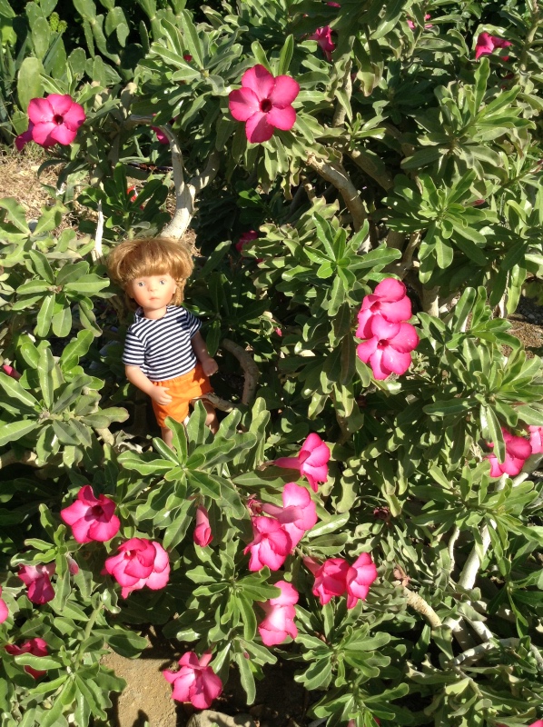 Белое солнце пустыни. Ч.2. Восточное, Соленое, Мертвое море- легенда