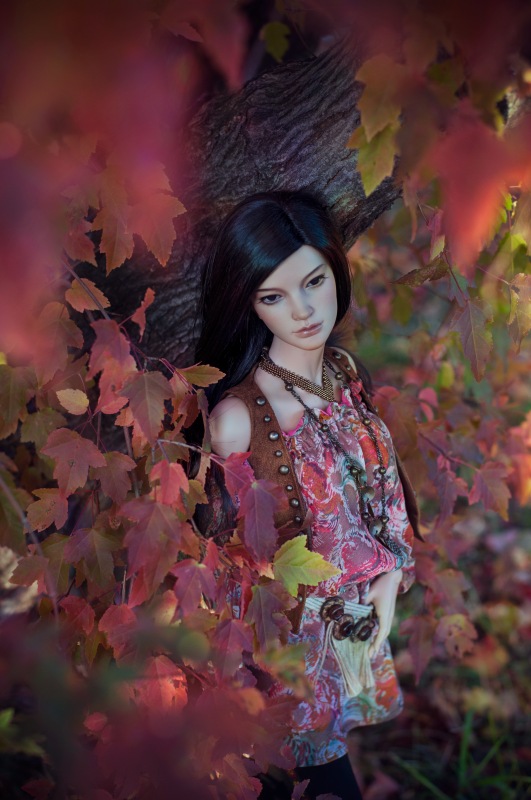 Душа Осени | Бэйбики Душа Осени — Куклы Iplehouse (Иплхаус): BJD (БЖД) (фото 4)