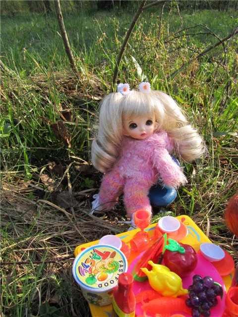 Весенний день... или как девочки ходили на пикник.№2