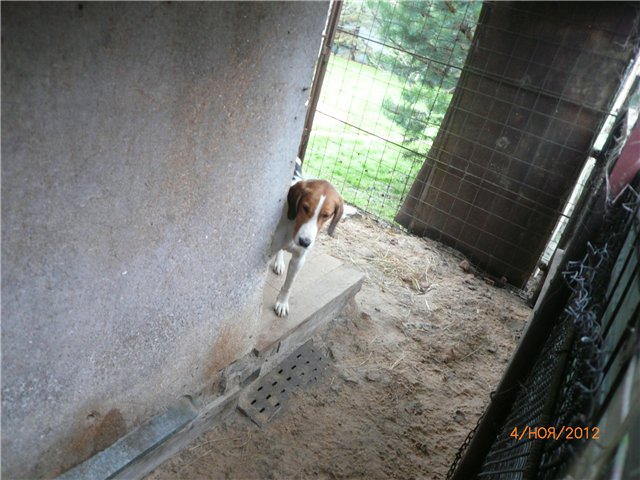 Кукла Адора - мое Солнышко