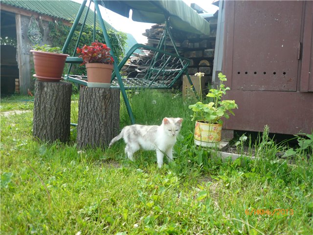 Мои позитивчики — Домашние коллекции кукол: фото собраний