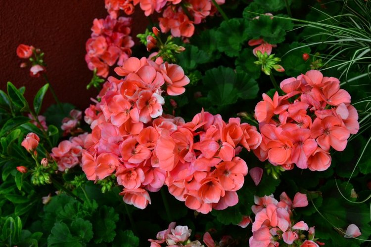 Очарование стринных французских городов