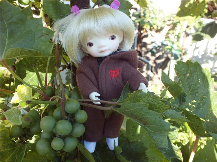 Моя нежная девочка от Irrealdoll! Enyo (Эньо) от Irrealdoll, Vanilla (нормал скин) (фото 5)