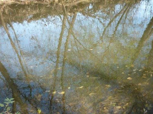 Золотая осень. Старый Оскол, Белгородская область