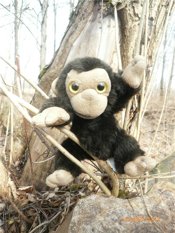 Предпраздничное настроение