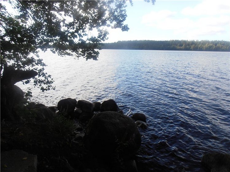 Любителям природы и походов за грибами