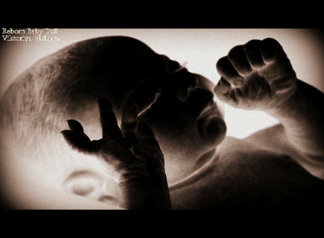 Лапуля Knox... Куколка реборн Виктории Вишни (фото 9)