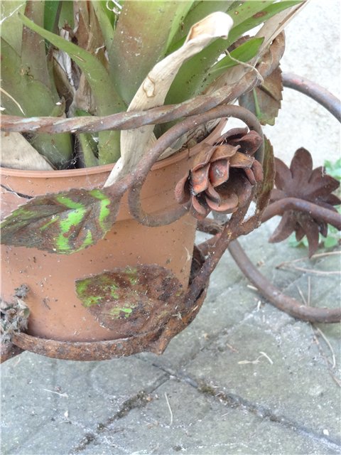 Катинка Готц и "Старый дворик" (фото 6)