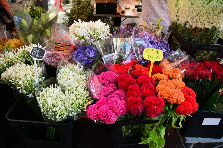 Ницца, Марсель, море и горы