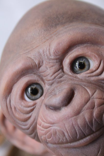 Обезьяныши реборн Элины Кудрявцевой