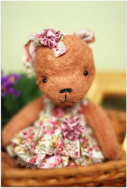 Чудо-девочка-медведь — Домашние фото авторских игрушек: Тедди