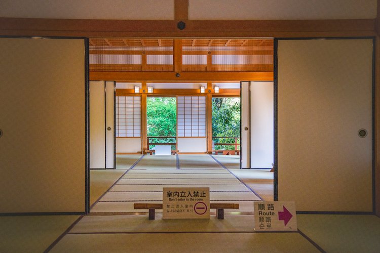 Япония моими глазами (часть 3. Китакюсю и Токио.) (фото 5)