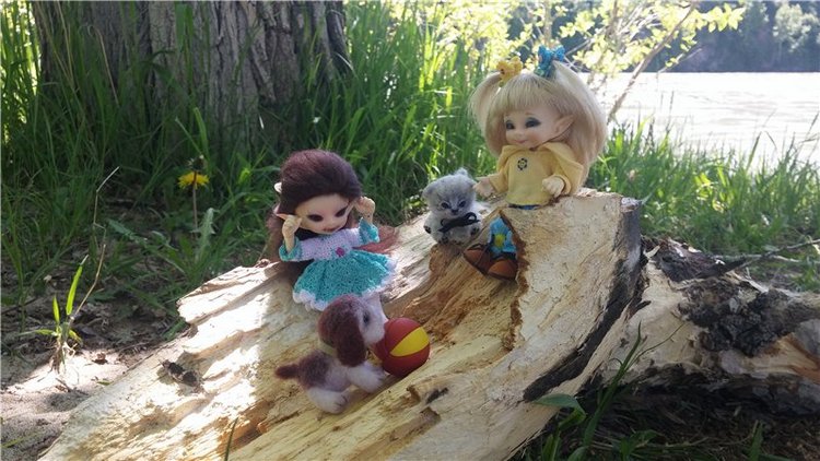 Неожиданная встреча. Встреча 2-х миров (фото 8)