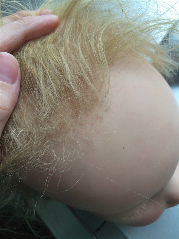 Была Лиза, стала Дафния или моя переделочка (фото 9)