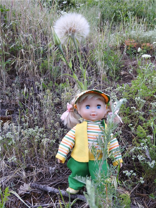 Любителям маленьких кукол