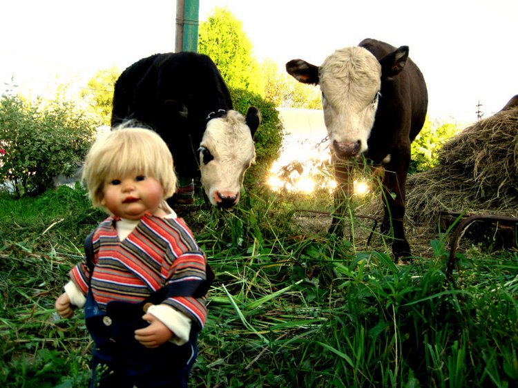 Выходные в деревне. Эдер - коллекционна кукла Susi Eimer (фото 7)