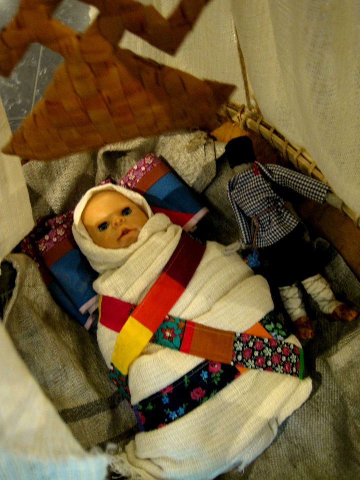 День в музее. Анжела в Государственном Дарвиновском музее