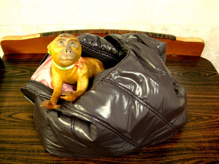 День в музее. Анжела в Государственном Дарвиновском музее (фото 4)