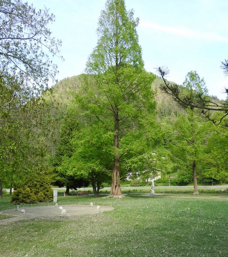 Словения, Светланка и маленький «герой» в одном ботинке