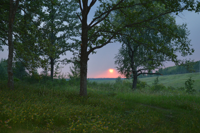Туристы. Коллекционная кукла Линда и Среда