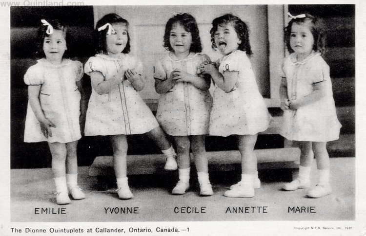 История трагической жизни, ставшая фурором кукольного мира . Часть 3 Заключение