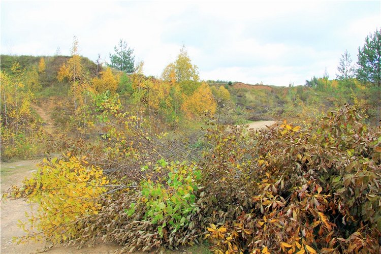 Тверской Водопад — Туризм и путешествия: фотоотчеты из поездок
