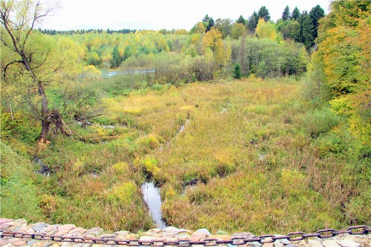 Из сентября в октябрь с воспоминанием о лете. Заключительная часть | Бэйбики Из сентября в октябрь с воспоминанием о лете. Заключительная часть